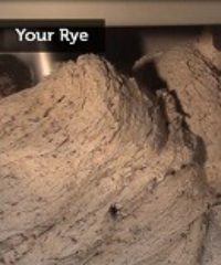 Sanc rye